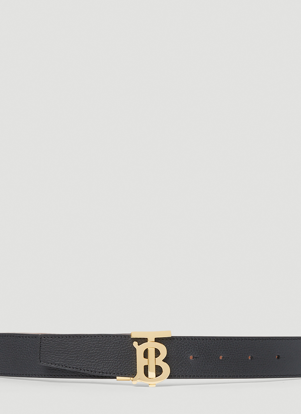 TB Plaque Belt